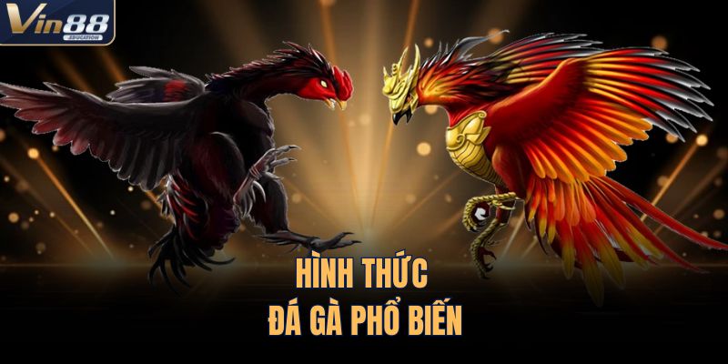 Hình thức đá gà phổ biến