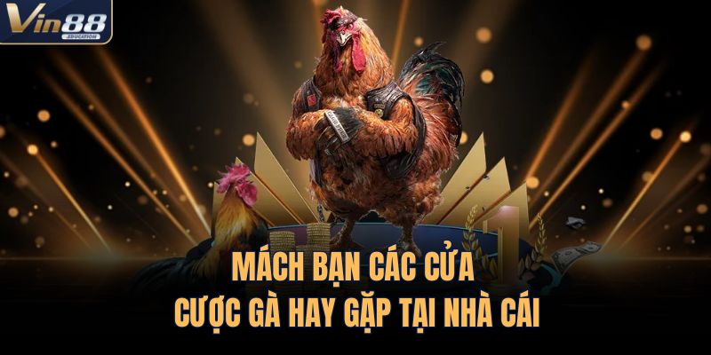 Mách bạn các cửa cược gà hay gặp tại nhà cái