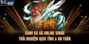 Sảnh Đá Gà Online VIN88 | Trải Nghiệm Kịch Tính & An Toàn