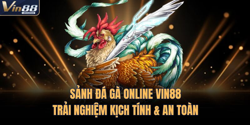 Sảnh Đá Gà Online VIN88 | Trải Nghiệm Kịch Tính & An Toàn