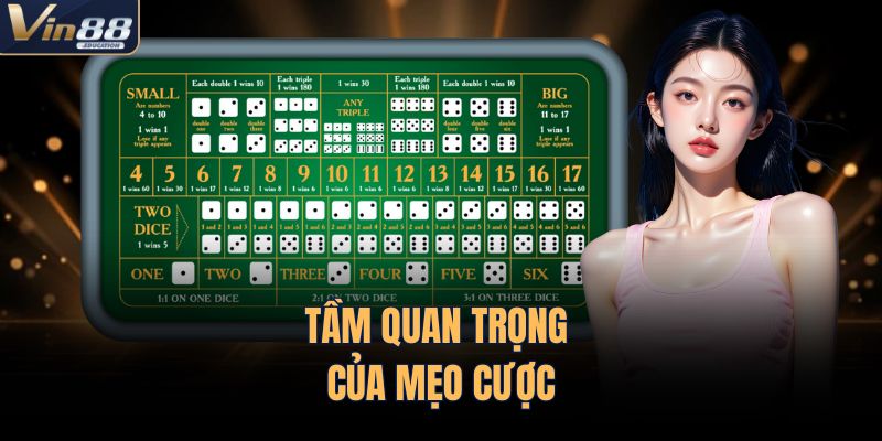 Tầm quan trọng của mẹo cược