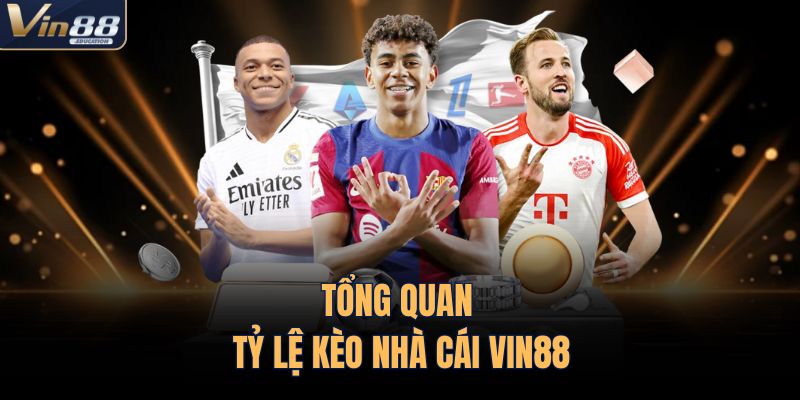 Tổng quan tỷ lệ kèo nhà cái VIN88