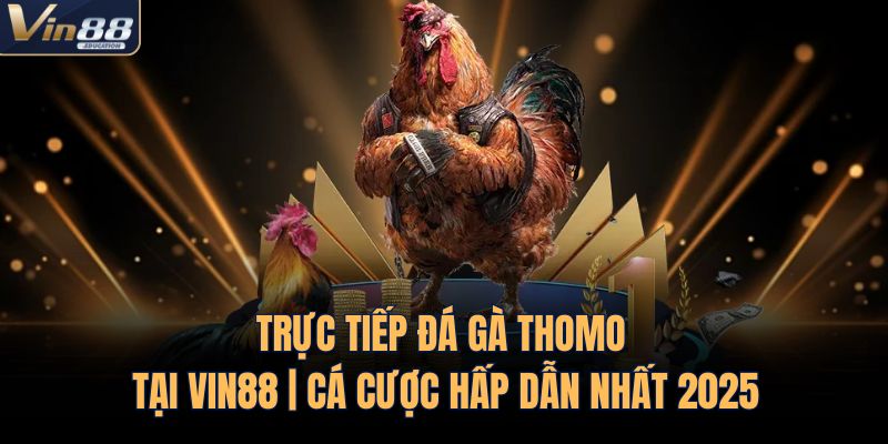 Trực Tiếp Đá Gà Thomo Tại VIN88 | Cá Cược Hấp Dẫn Nhất 2025