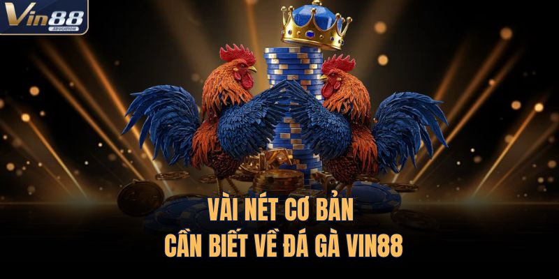 Vài nét cơ bản cần biết về đá gà VIN88